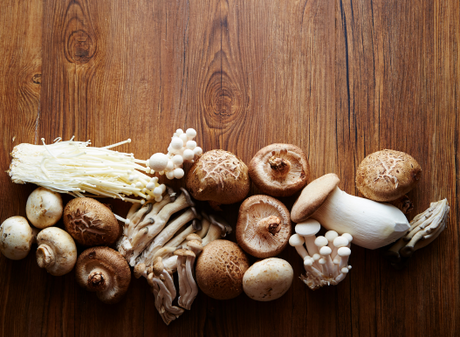 Unlock Your Full Potential with the Power of Mushrooms