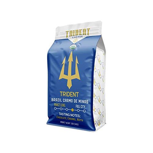 TRIDENT COFFEE: Coffee Trident Roasted, 12 oz