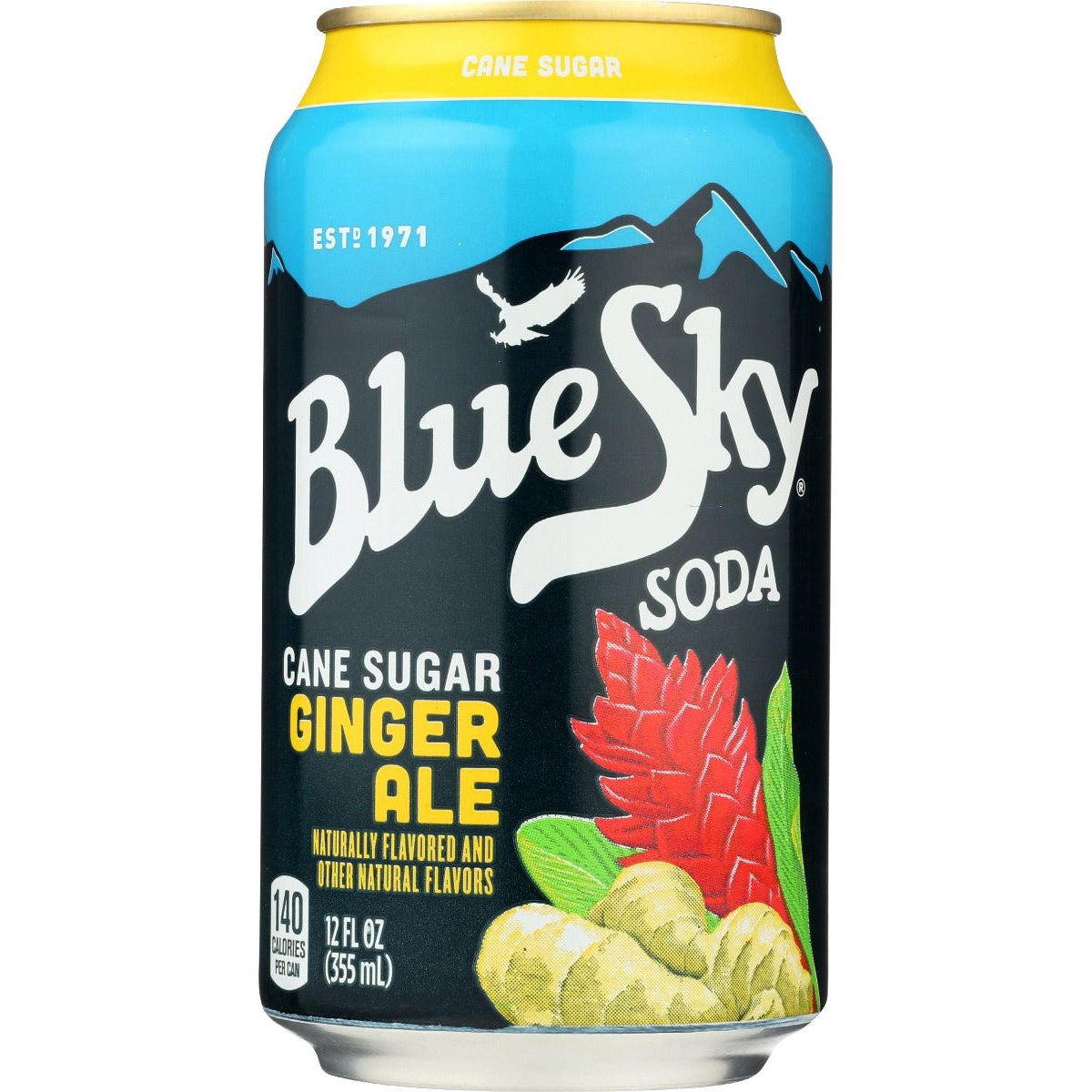 BLUE SKY: Soda Ginger Ale, 72 oz - #tag1# - #tag2#