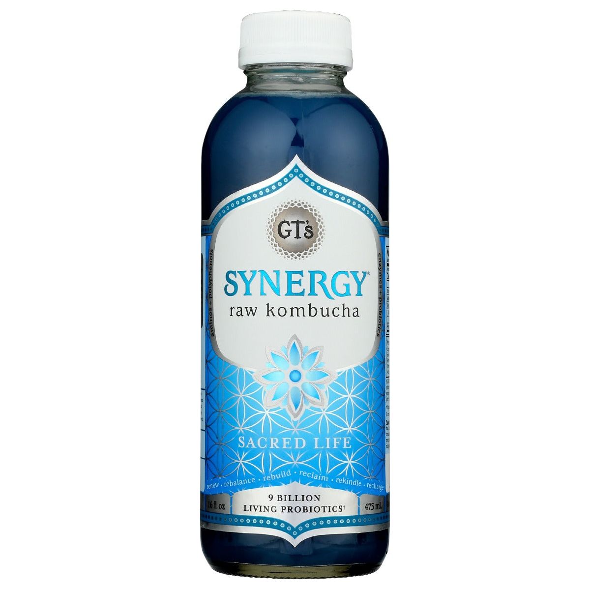 GT ENLIGHTENED KOMBUCHA: Sacred Life Kombucha, 16 fo - #tag1# - #tag2#