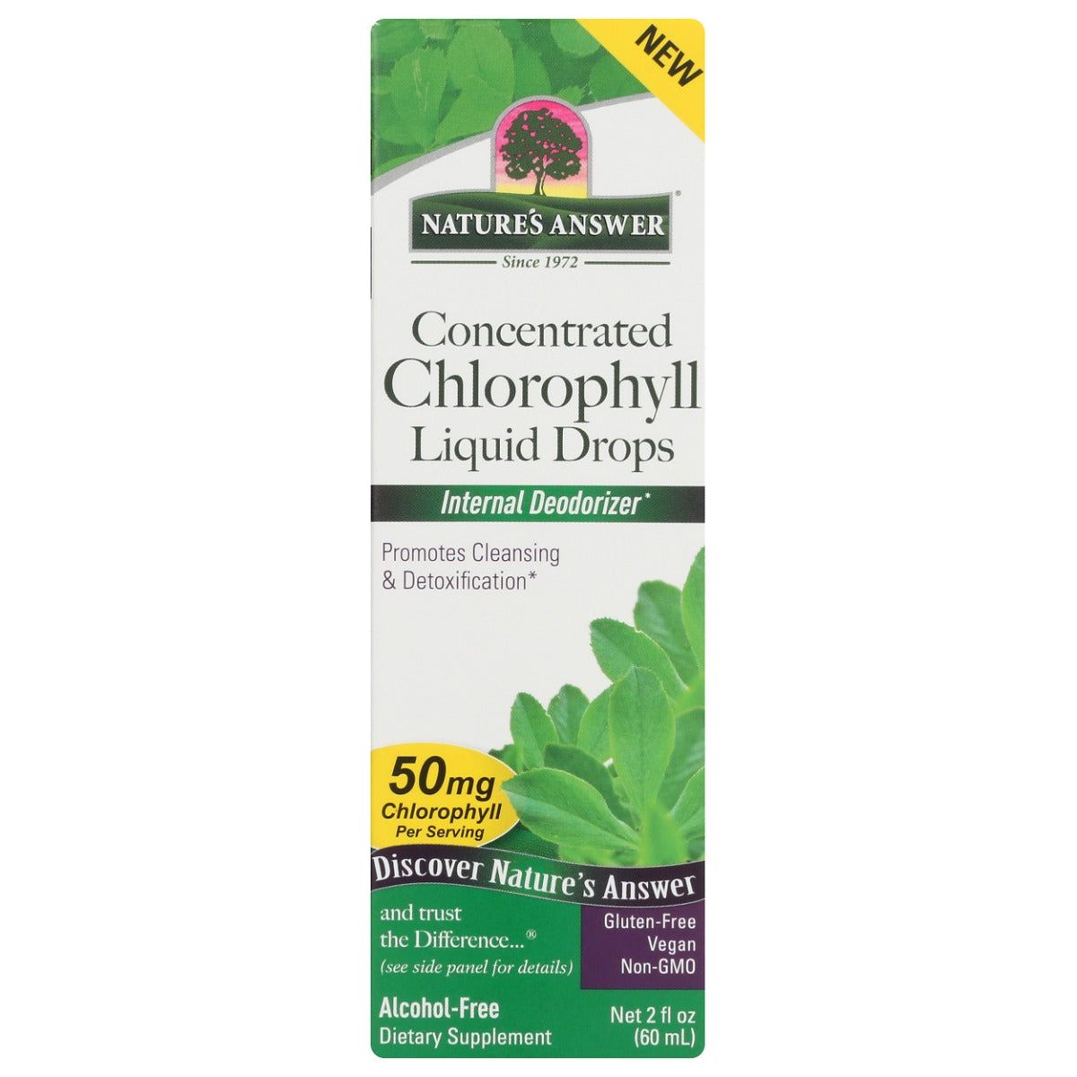 NATURES ANSWER: Chlorophyll Drops, 2 fo - #tag1# - #tag2#